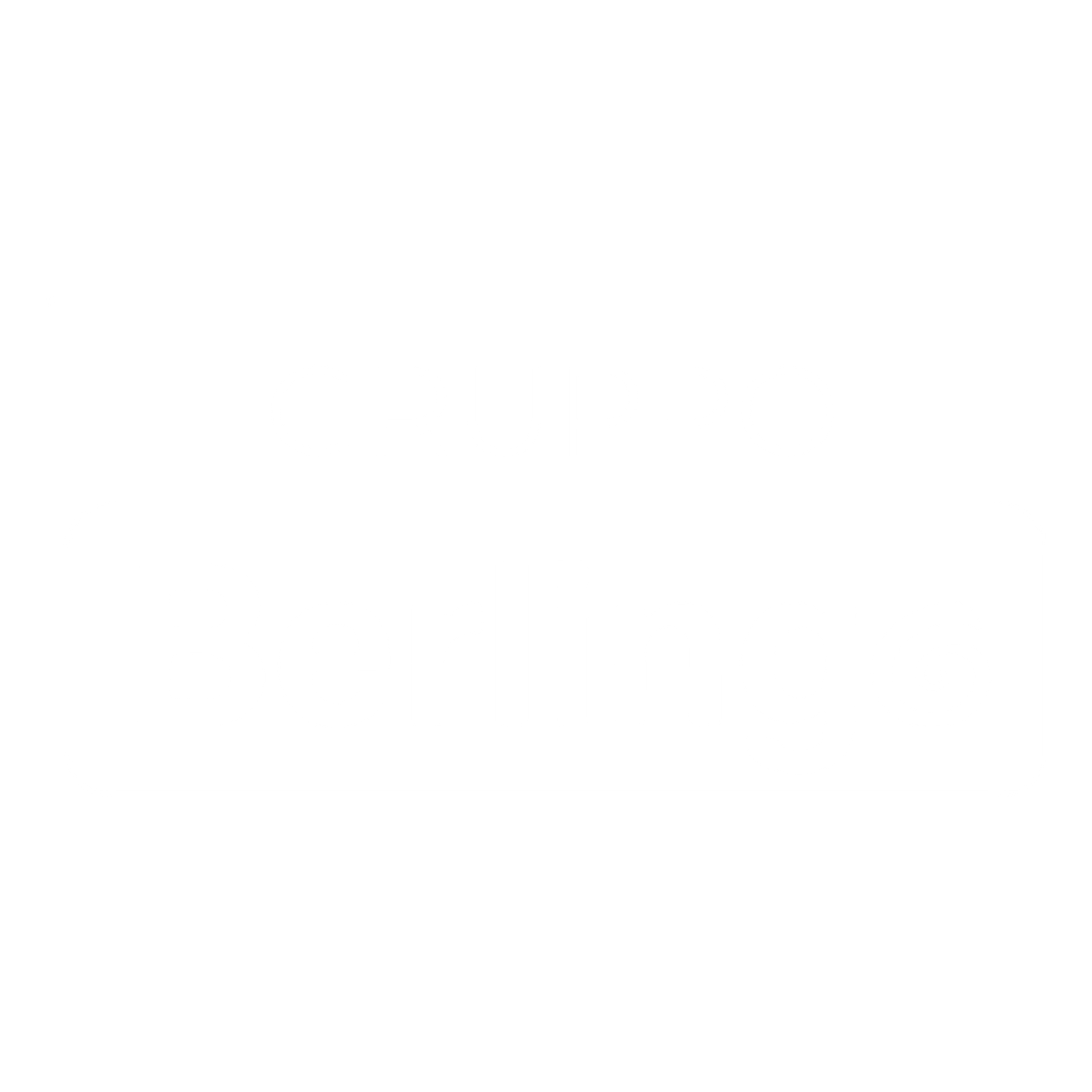 berlingo